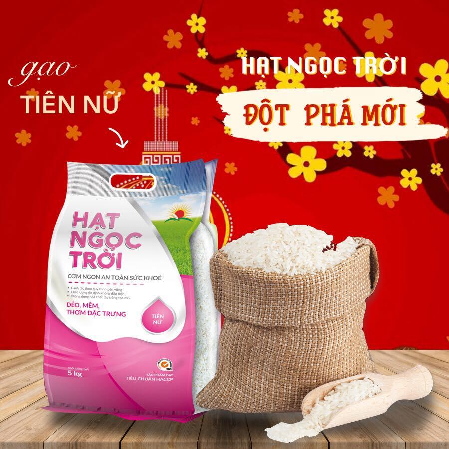 (HỘ KINH DOANH) NGUYỄN THỊ NHANH EM